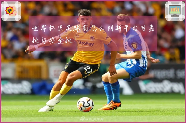 世界杯买足球前怎么判断平台可靠性与安全性？