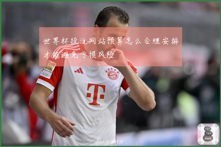 世界杯投注网站预算怎么合理安排才能避免亏损风险