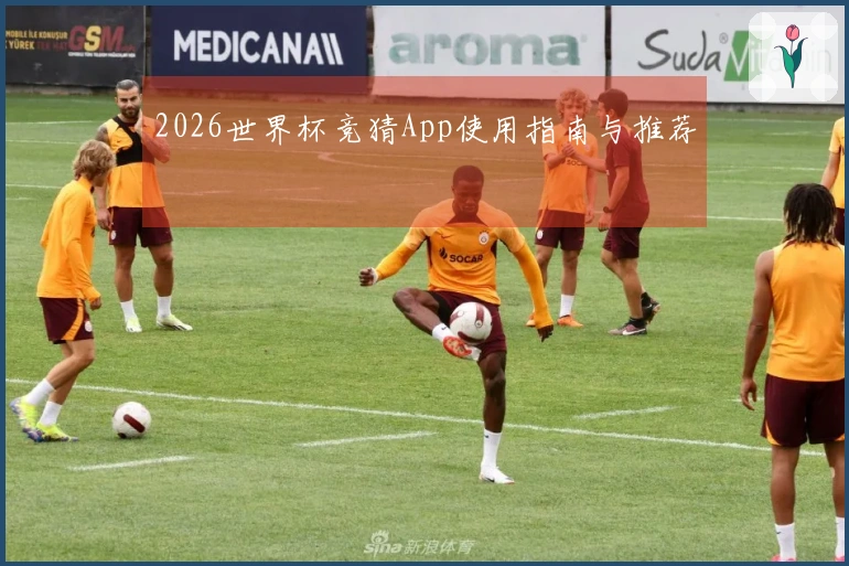 2026世界杯竞猜App使用指南与推荐