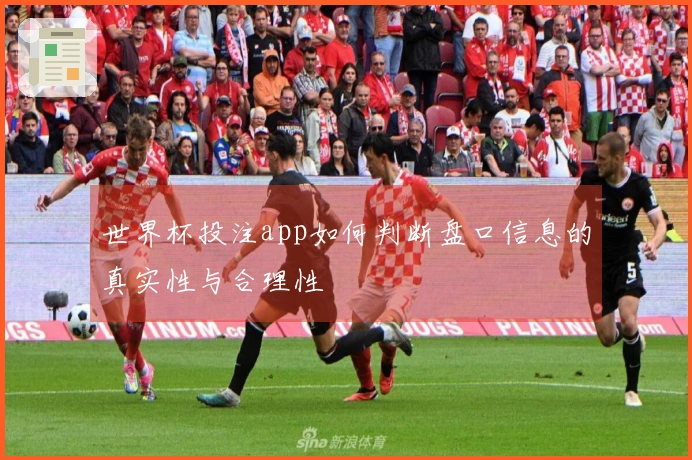 世界杯投注app如何判断盘口信息的真实性与合理性