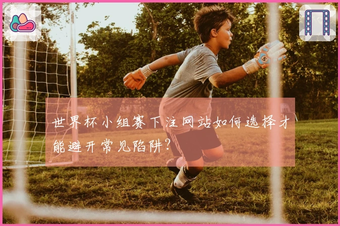 世界杯小组赛下注网站如何选择才能避开常见陷阱？