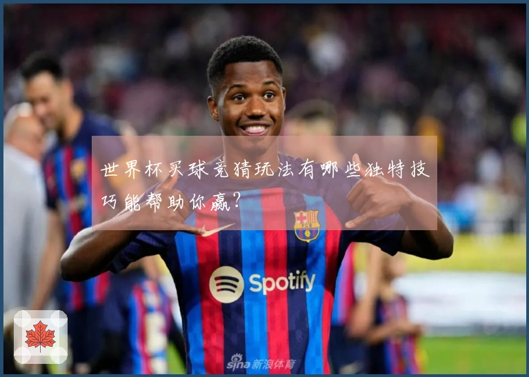 世界杯买球竞猜玩法有哪些独特技巧能帮助你赢？