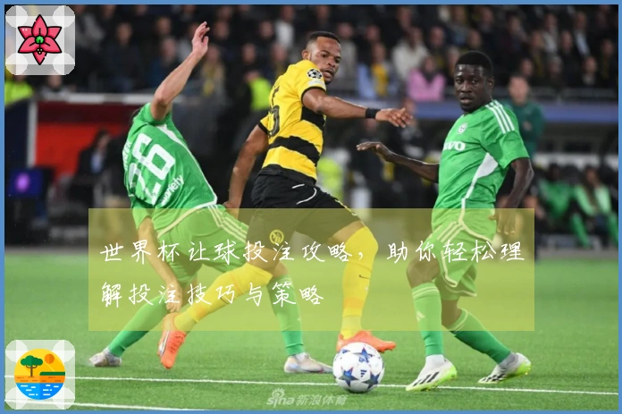 世界杯让球投注攻略，助你轻松理解投注技巧与策略