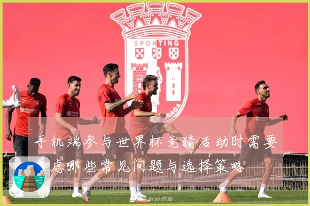 手机端参与世界杯竞猜活动时需要考虑哪些常见问题与选择策略