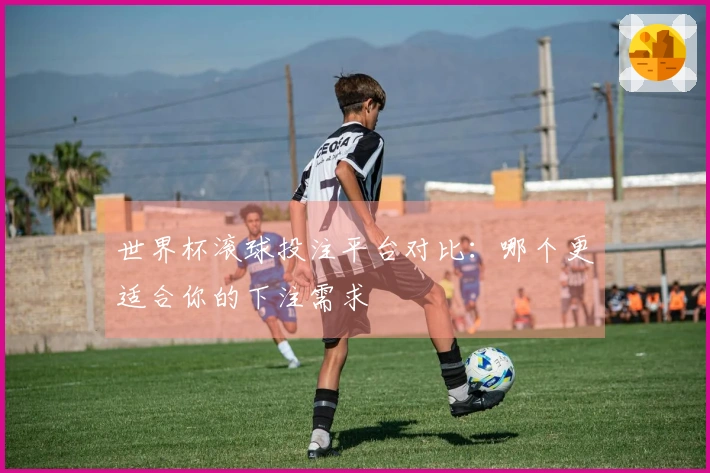 世界杯滚球投注平台对比：哪个更适合你的下注需求