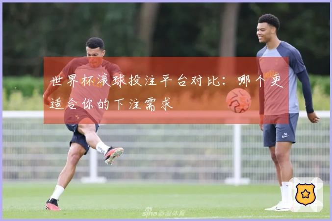 世界杯滚球投注平台对比：哪个更适合你的下注需求