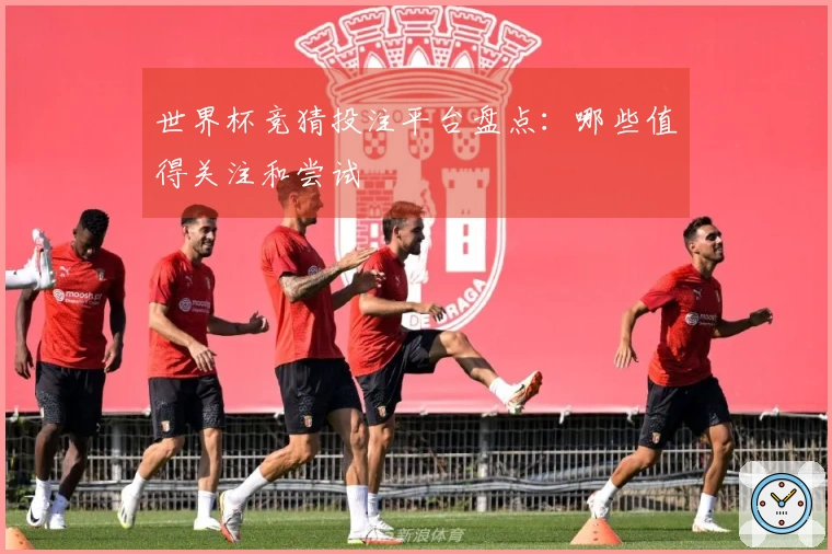 世界杯竞猜投注平台盘点：哪些值得关注和尝试