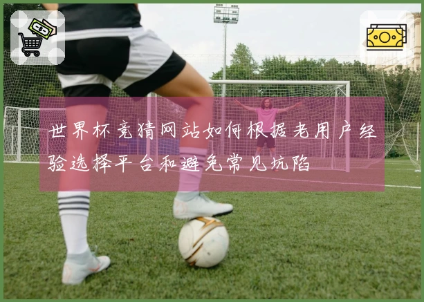 世界杯竞猜网站如何根据老用户经验选择平台和避免常见坑陷