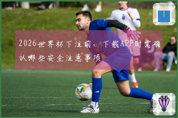 2026世界杯下注前，下载APP时需确认哪些安全注意事项