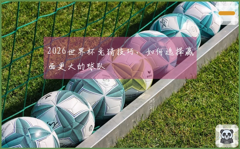 2026世界杯竞猜技巧，如何选择赢面更大的球队