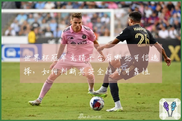 世界杯冠军竞猜平台有哪些可信选择，如何判断其安全性与可靠性