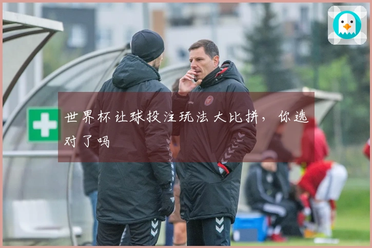 世界杯让球投注玩法大比拼，你选对了吗
