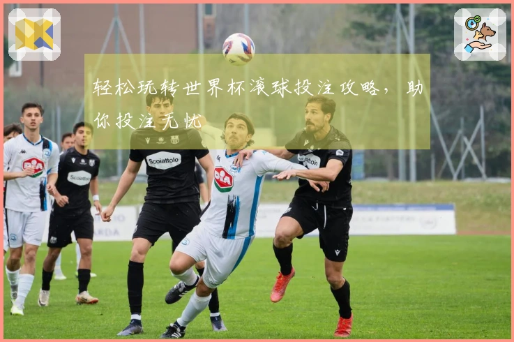 轻松玩转世界杯滚球投注攻略，助你投注无忧