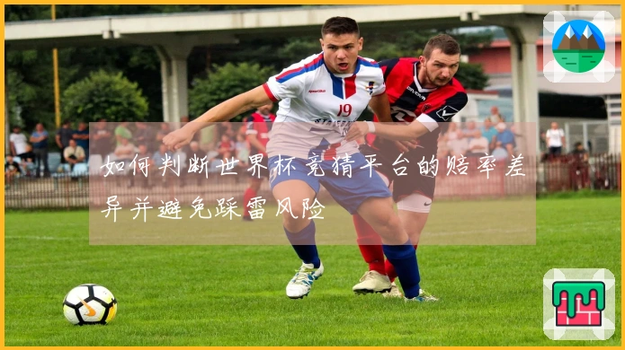 如何判断世界杯竞猜平台的赔率差异并避免踩雷风险