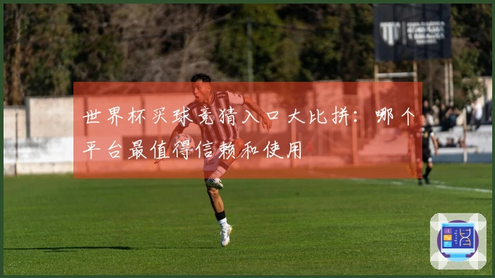 世界杯买球竞猜入口大比拼：哪个平台最值得信赖和使用