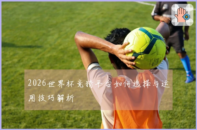 2026世界杯竞猜平台如何选择与运用技巧解析