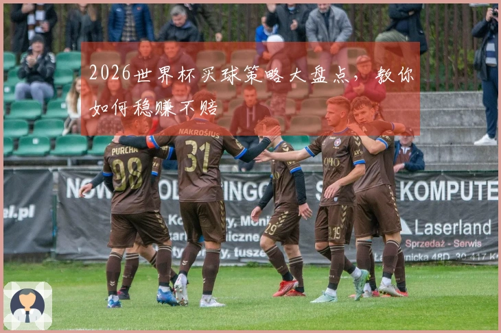2026世界杯买球策略大盘点，教你如何稳赚不赔