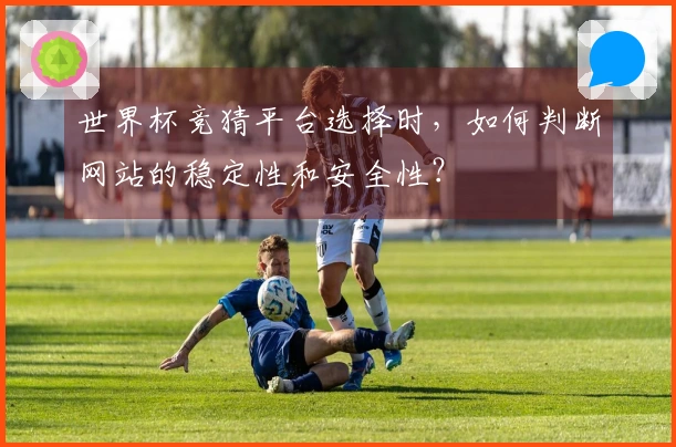 世界杯竞猜平台选择时，如何判断网站的稳定性和安全性？