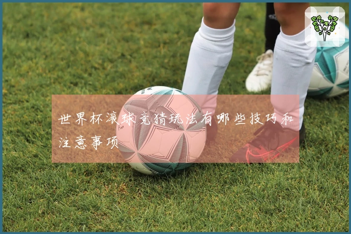 世界杯滚球竞猜玩法有哪些技巧和注意事项
