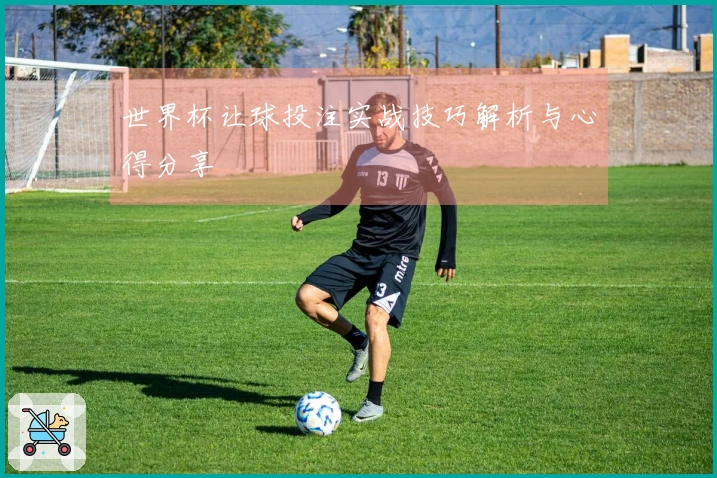 世界杯让球投注实战技巧解析与心得分享