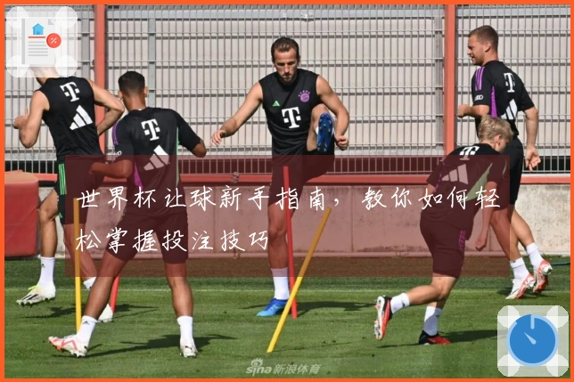 世界杯让球新手指南，教你如何轻松掌握投注技巧