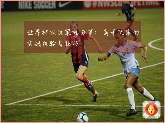 世界杯投注策略分享：高手玩家的实战经验与技巧