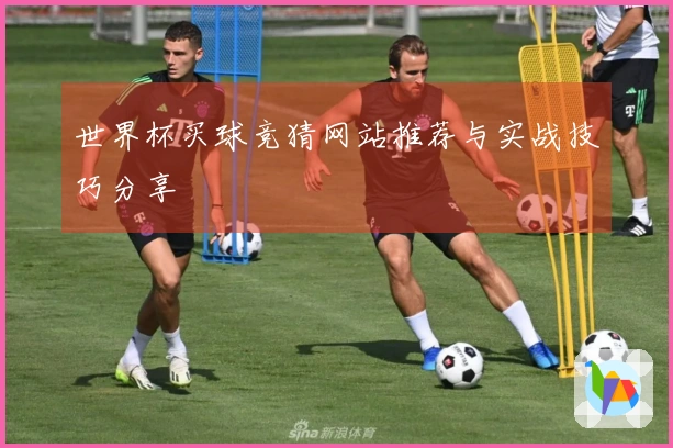 世界杯买球竞猜网站推荐与实战技巧分享