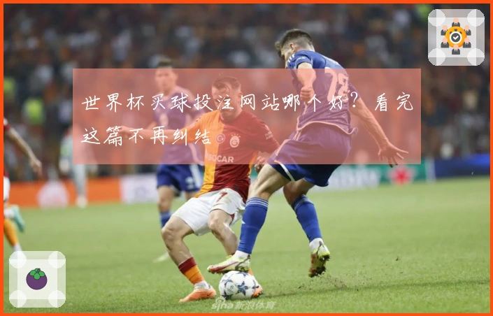 世界杯买球投注网站哪个好？看完这篇不再纠结