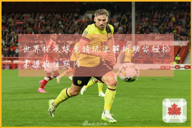 世界杯滚球竞猜玩法解析助你轻松掌握投注窍门