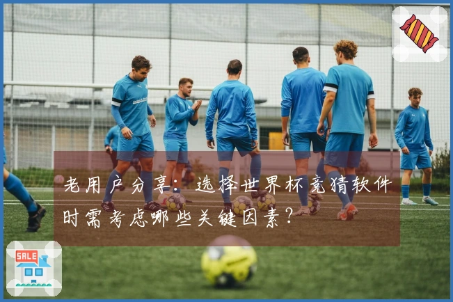 老用户分享：选择世界杯竞猜软件时需考虑哪些关键因素？