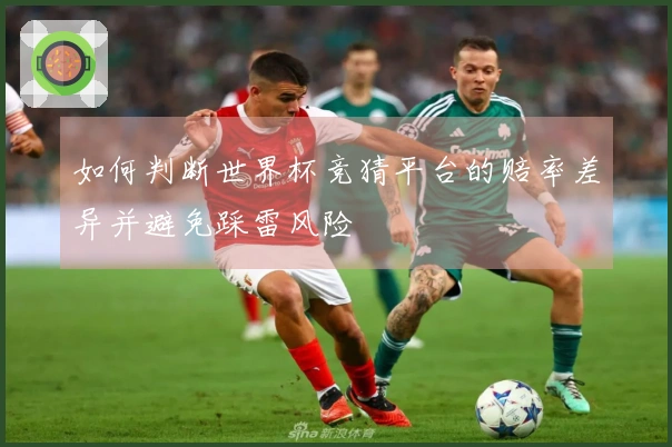 如何判断世界杯竞猜平台的赔率差异并避免踩雷风险