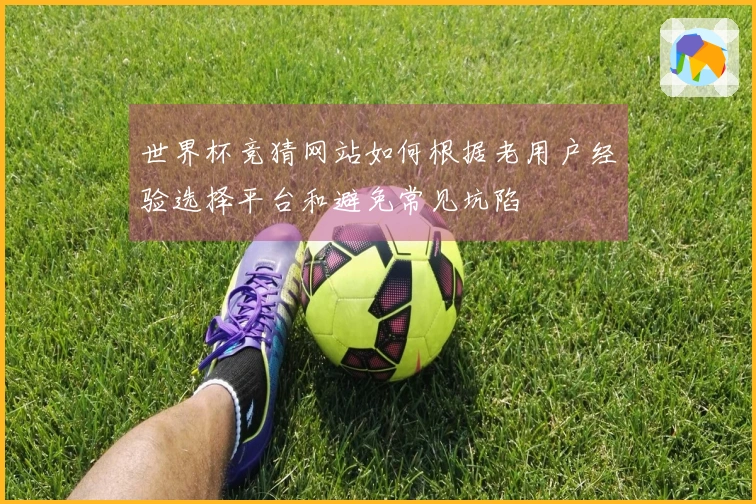 世界杯竞猜网站如何根据老用户经验选择平台和避免常见坑陷