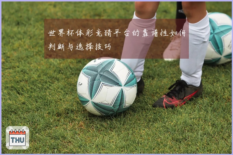 世界杯体彩竞猜平台的靠谱性如何判断与选择技巧