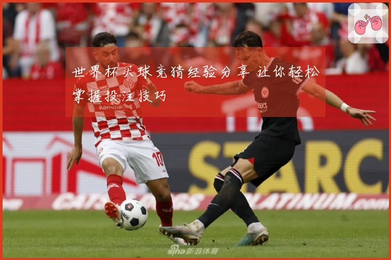 世界杯买球竞猜经验分享 让你轻松掌握投注技巧